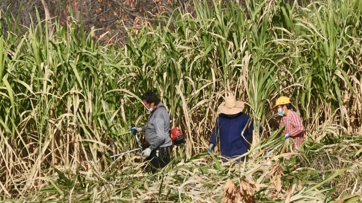 安陆人才网最新招聘动态，探寻职业发展的无限可能