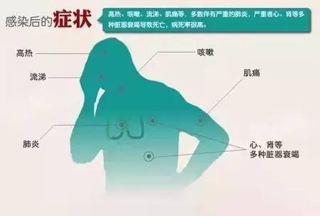 H7N9最新消息，持续监测与应对准备，以保障公众健康